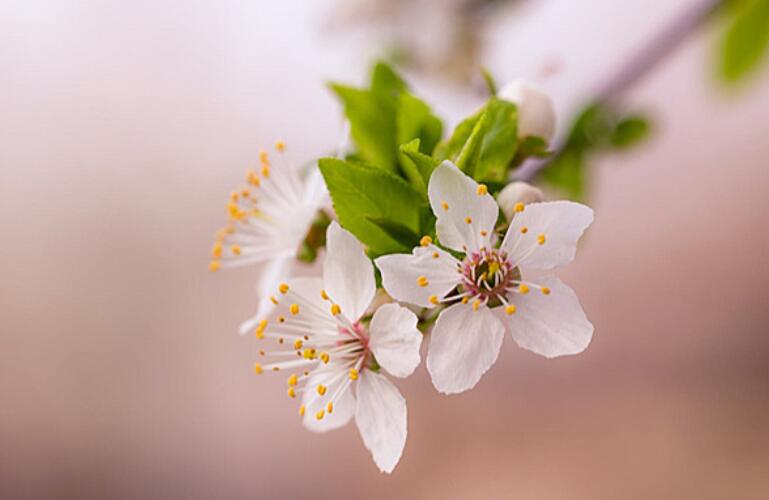 一生很长一生很短佳句