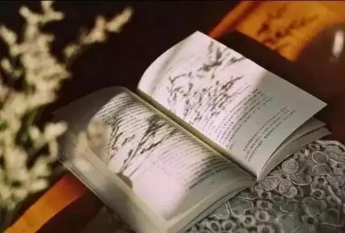 读书笔记感想50字