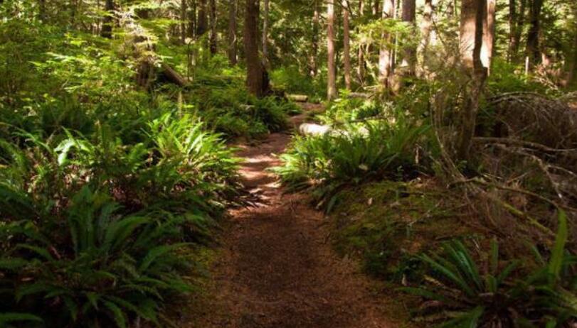 心累励志的句子文案说说心情