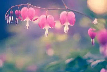 心灵鸡汤女人励志语录文案