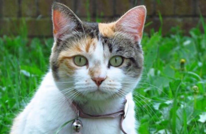 想念孩子的暖心说说文案短句