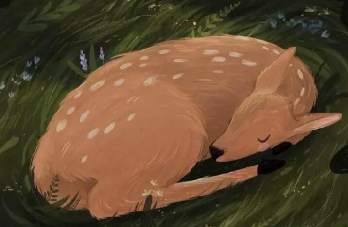 给女儿的祝福语简短独特