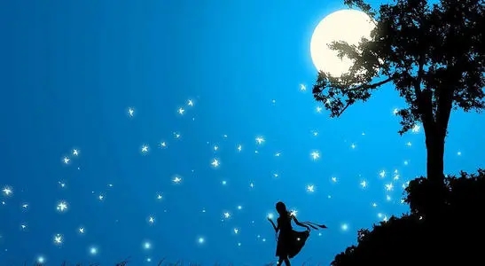 艺术照的唯美说说句子文案