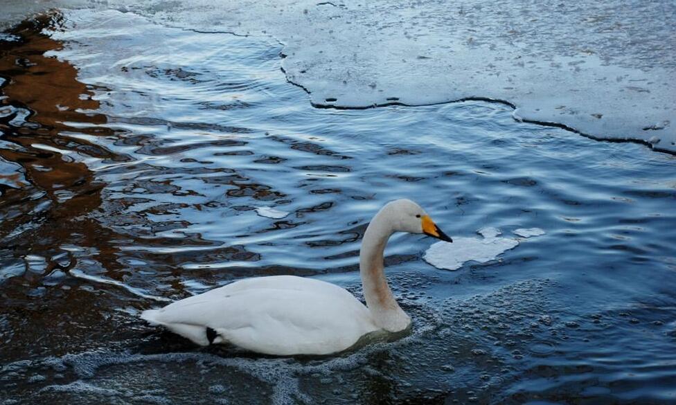 描写冬季的寒冷句子文案