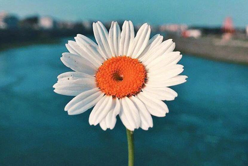 充满阳光的早安问候语