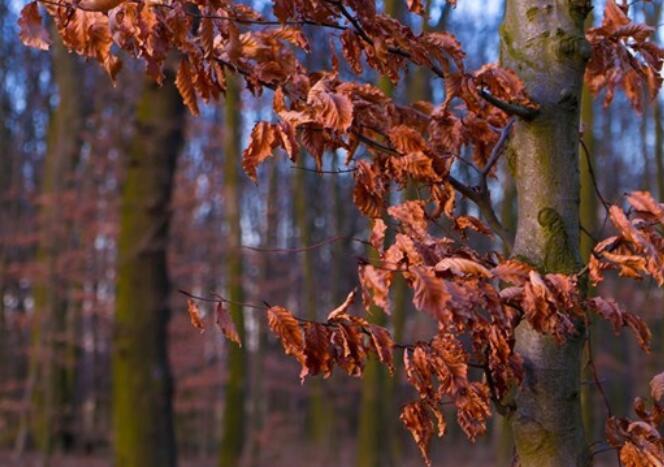 感慨人生的搞笑句子文案