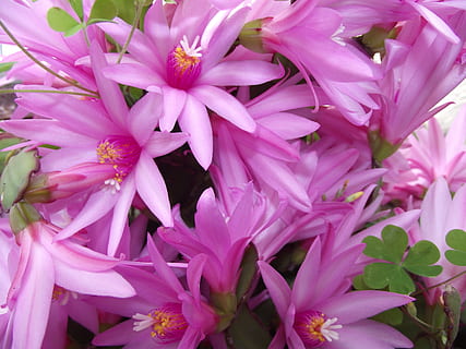 受虐的句子文案