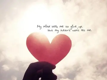 爱情的经典语录短句子文案