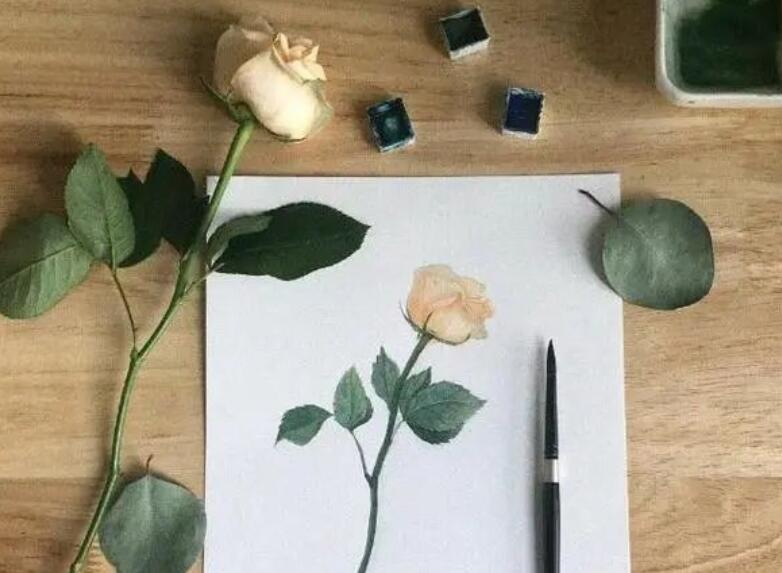 形容生话很洒脱的美句