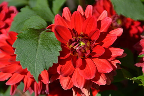 感慨心情低落的唯美句子文案