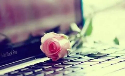 对感情领悟经典的句子文案