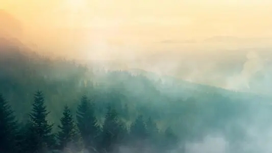 雾气缭绕的唯美句子文案