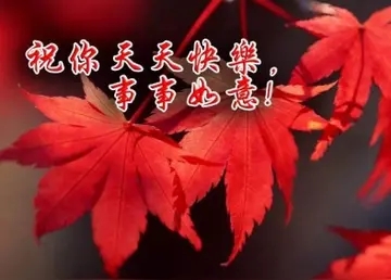 老朋友友谊每日问候