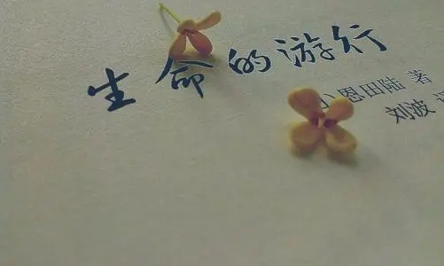 出去游玩的心情说说文案