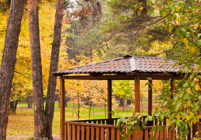 秋风的句子文案简短唯美