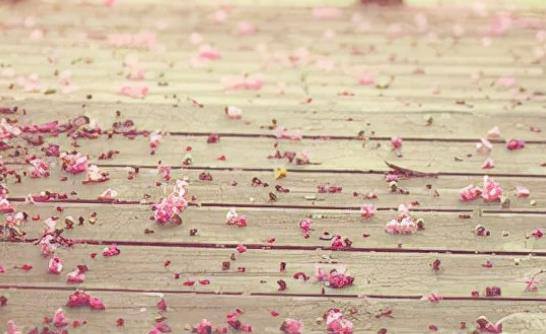 相信自己的励志名言