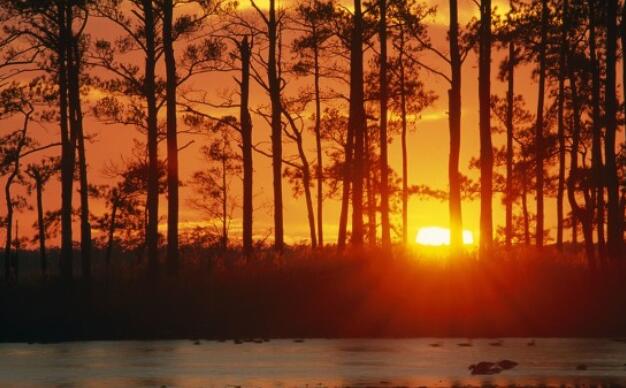 人生哲理短句6字以内