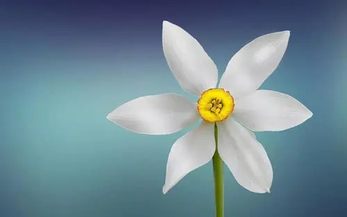 最深奥哲理的一句话