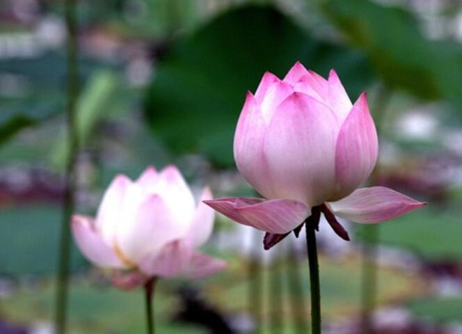 关于快乐的句子文案摘抄