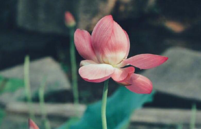 喝鸡汤的感动说说文案