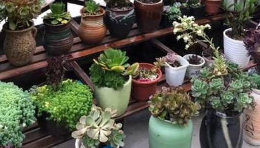 古诗唯美千古绝句全文