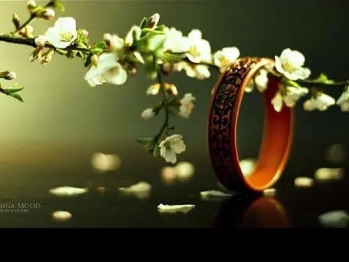 经典美好爱情诗句文案