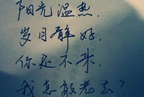 关于温暖的美句摘抄