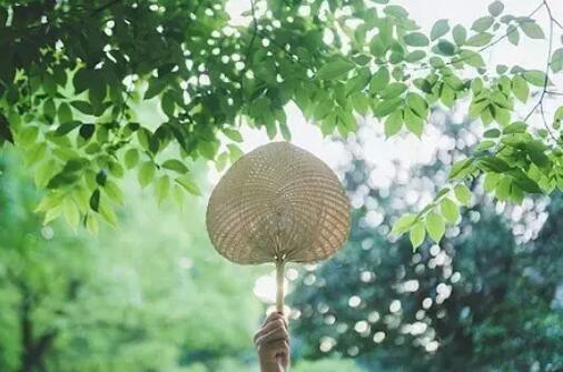 周一早安心语客户