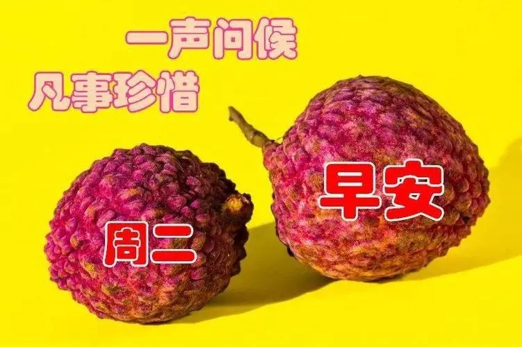 2024年的早晨祝福语