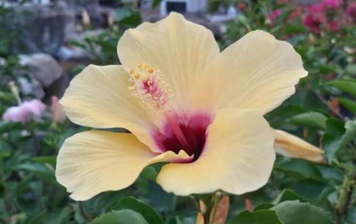 早安暖心阳光正能量一句话