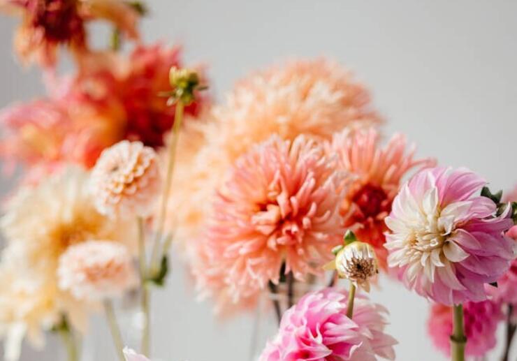 适合中午发的很暖心的句子文案