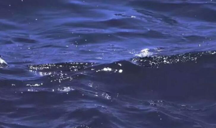 海边朋友圈配文字简单