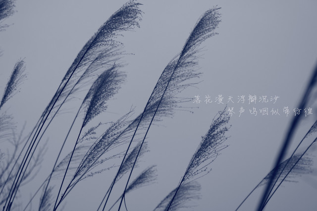 适合写在手帐上的句子文案