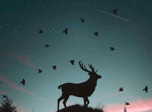 分屏情感语录文案壁纸