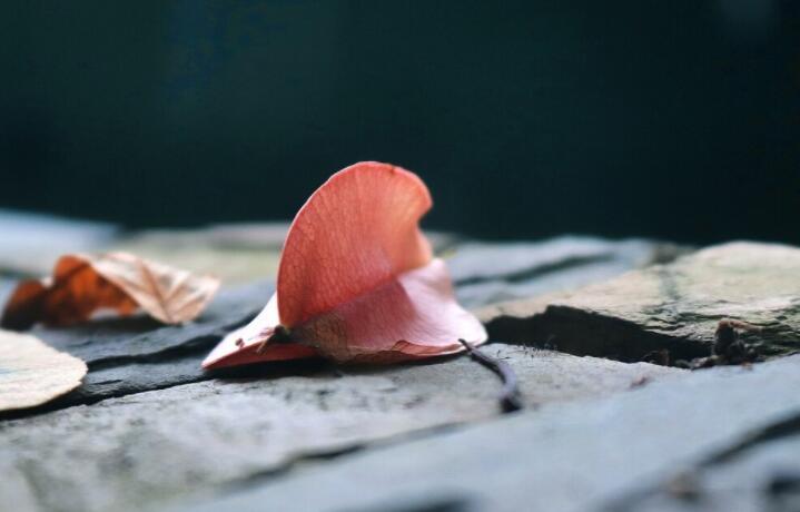 伤感朋友圈句子文案