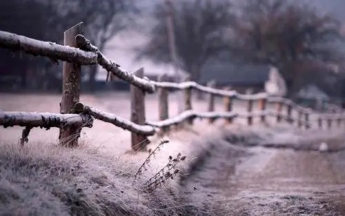 关于梦的伤感文案