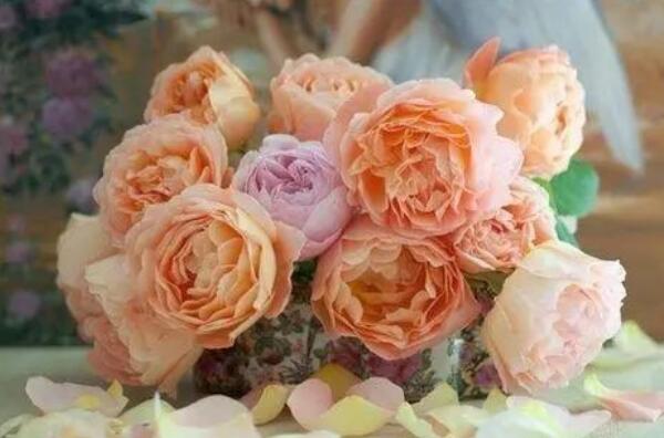 梦如人生的说说文案