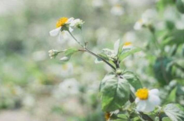 离别的说说伤感句子文案