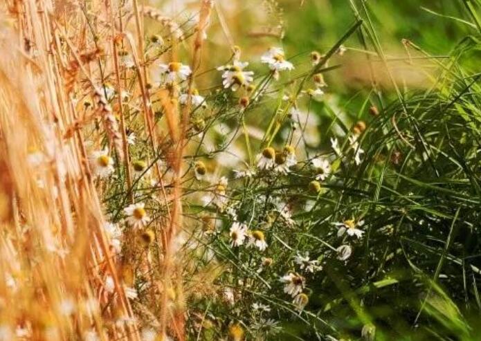 一个人的早安说说文案心情短语