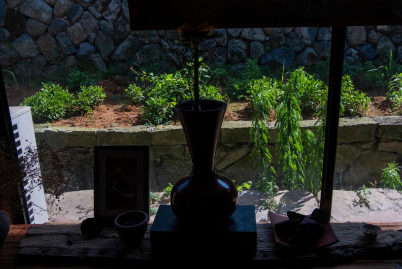 喝茶的古诗词有哪些