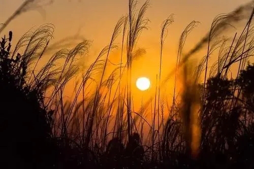 黄昏时候思念的句子文案