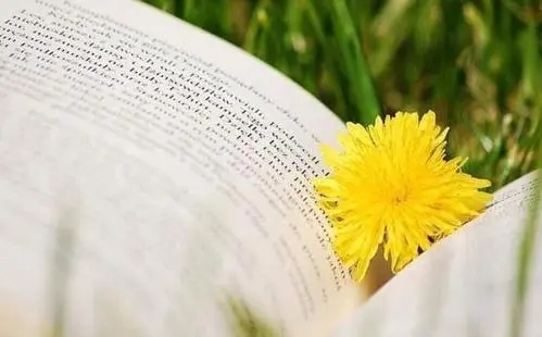 关于正能量的句子文案励志