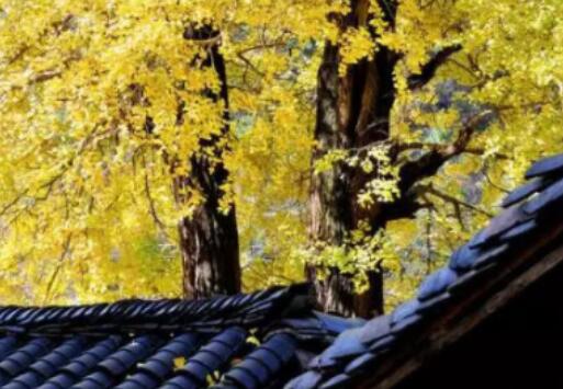 心中气愤窝火的说说文案