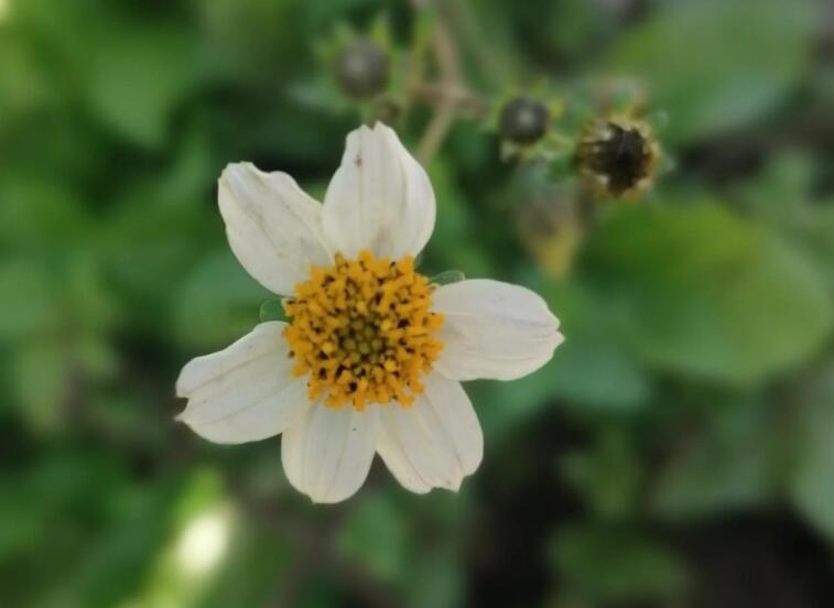 你在北方我在南方说说文案