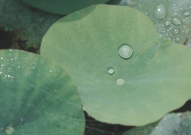 幽默正能量励志的句子文案