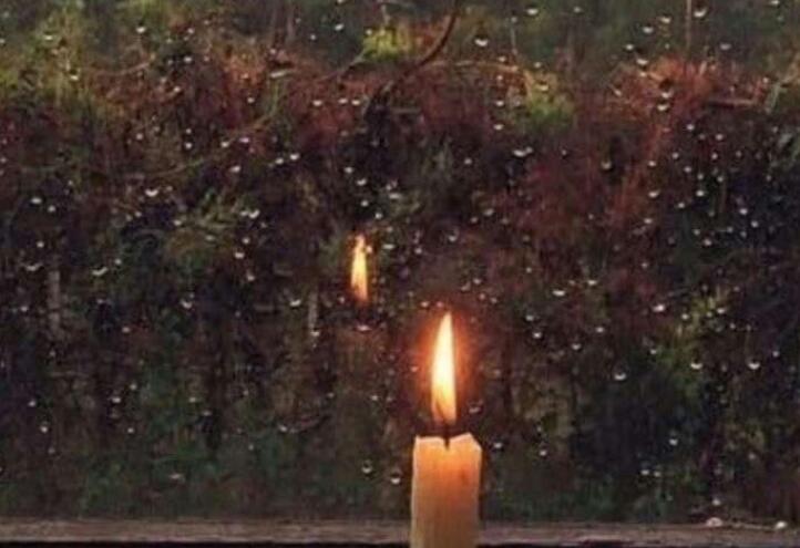 关于花的文艺短句