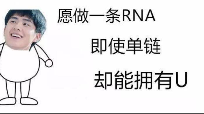 一句话形容理科生