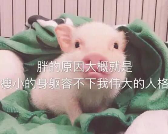 很皮很可爱的短句