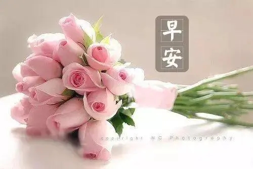 又是新的一天的心情说说文案