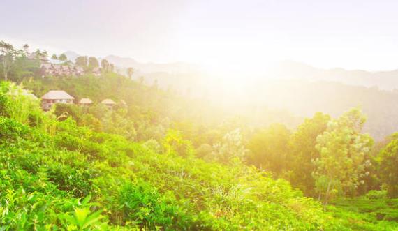 家长写给小学生的寄语